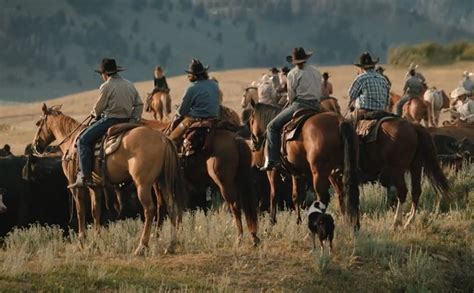 yellowstone myflixer|myflixer without ads.